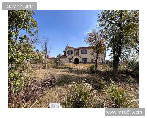 足球明星家庭花园设计灵感探索打造绿意盎然的梦想空间